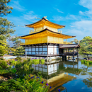 동경 & 오사카 6일