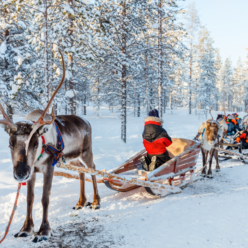 시원한 여름 “북유럽 4개국, 작은 러시아” 발트 3개국 14일