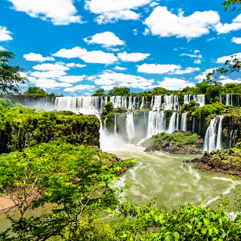 브라질 / 아르헨티나 7일