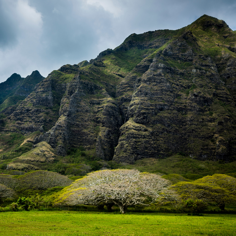 하와이크루즈 17일 (LA출발-왕복)
