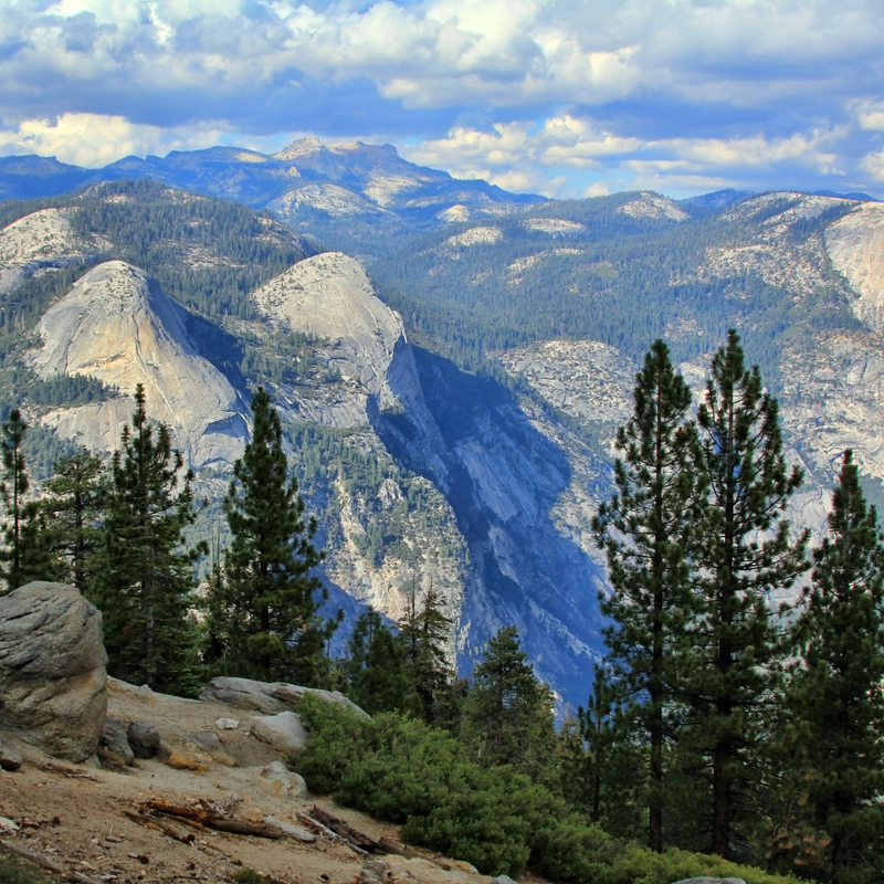 요세미티/샌프란시스코 3일